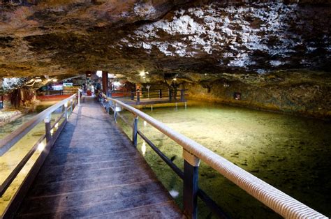aquarium ibiza|Why you should visit the Cap Blanc aquarium in Ibiza.